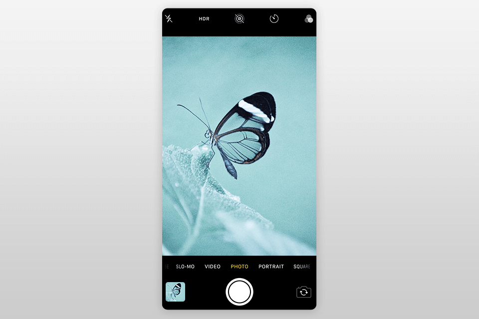 blur background on iphone place an object closer